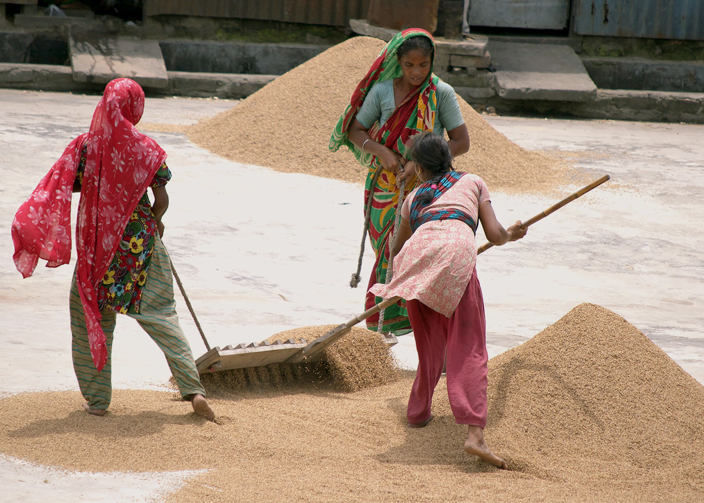 ricewomen